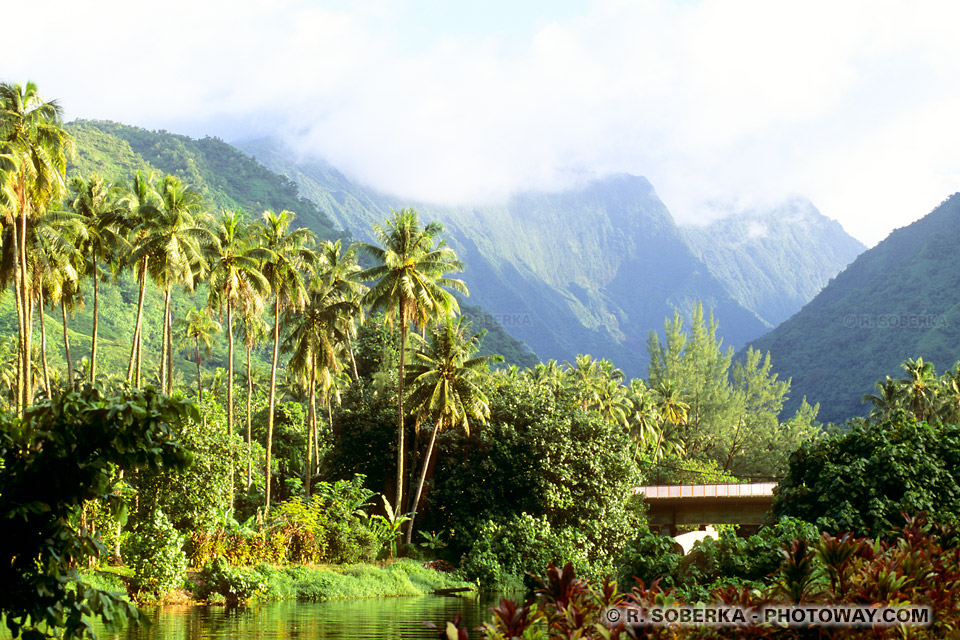 Photo de Tahiti photos des montagnes du centre de l'ile de Tahiti