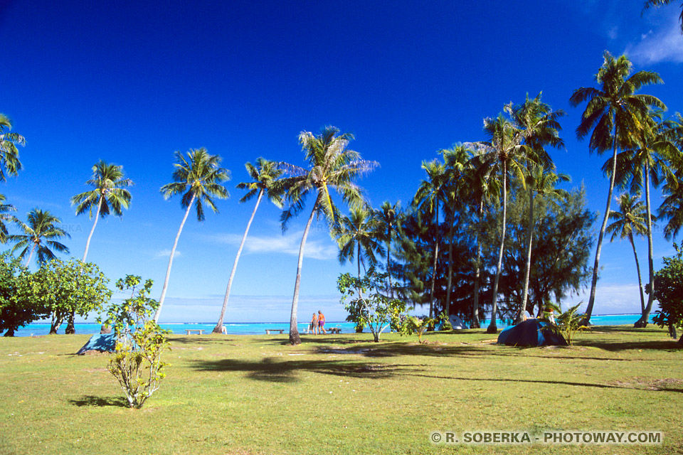 Photos du Camping chez Nelson et Josiane à Moorea - Tahiti en Polynésie