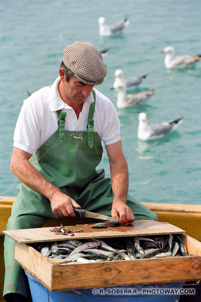 Photos de marins pêcheurs : photo d'un marin pêcheur Portugais