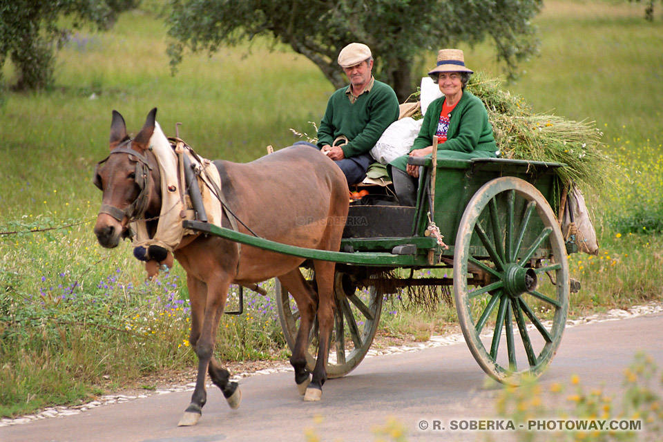 Photos de portugais en carriole reportage photo au Portugal