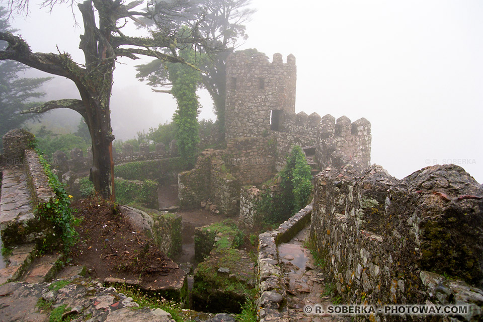 Photos de Sintra visite photo du Chateau dans le brouillard au Portugal