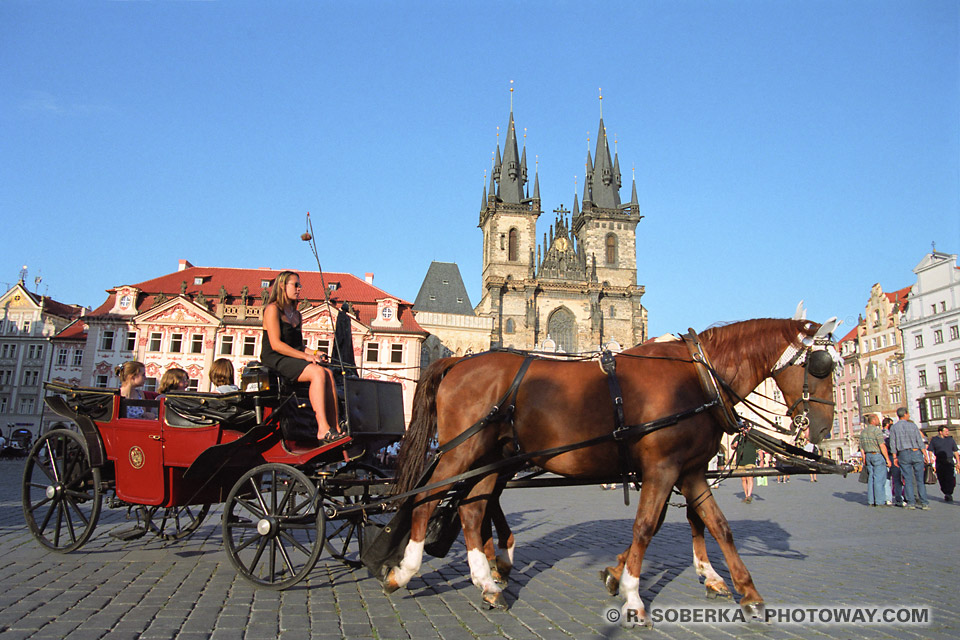 Guide Prague guide touristique à Pargue en République Tchèque