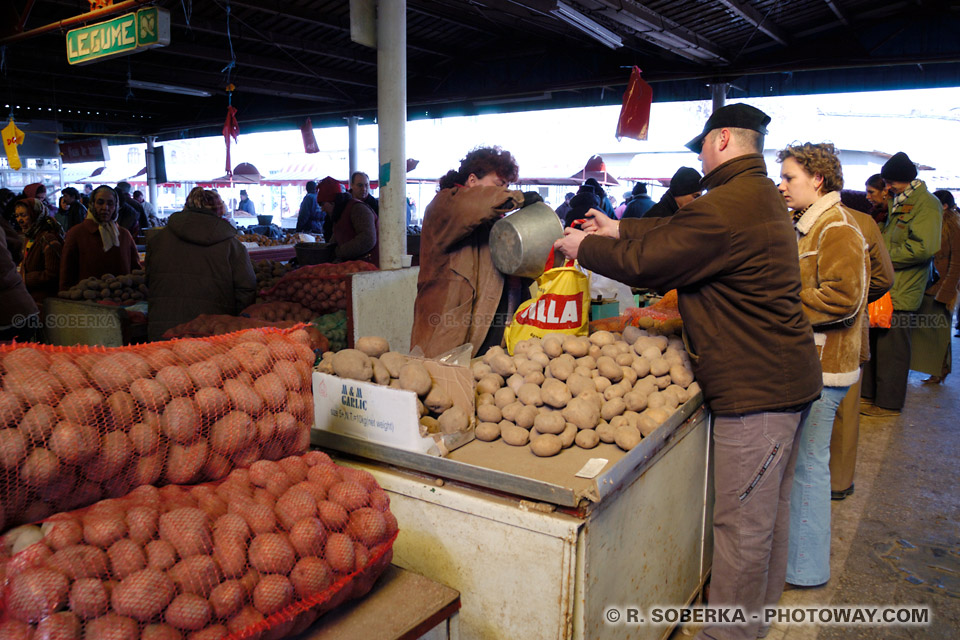 Image Photo de pommes de terre photos de pommes de terre en Roumanie