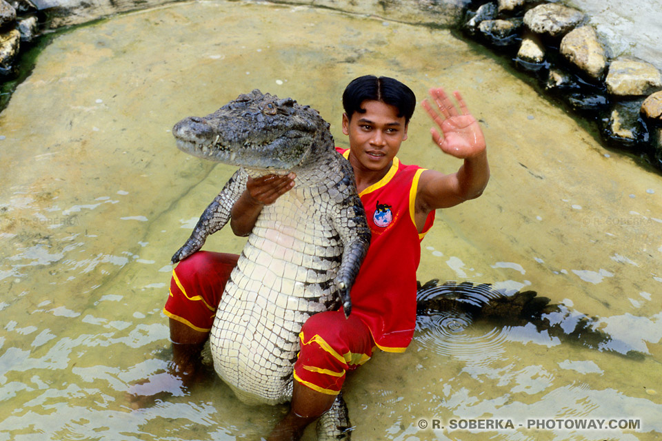 Photos de spéctacles de Crocodiles Thaïlande photo Crocodile Farm