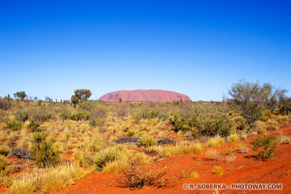 images d'un ciel bleu éléctrique et sol rouge du désert australien