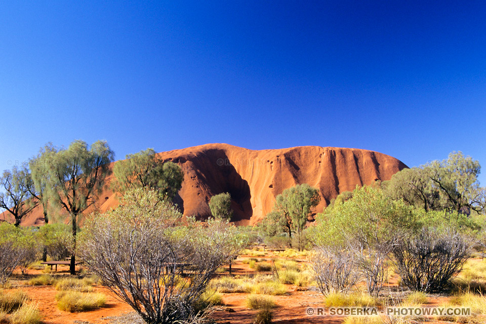 Photo-guide touristique dans le désert en Australien visite d'Uluru