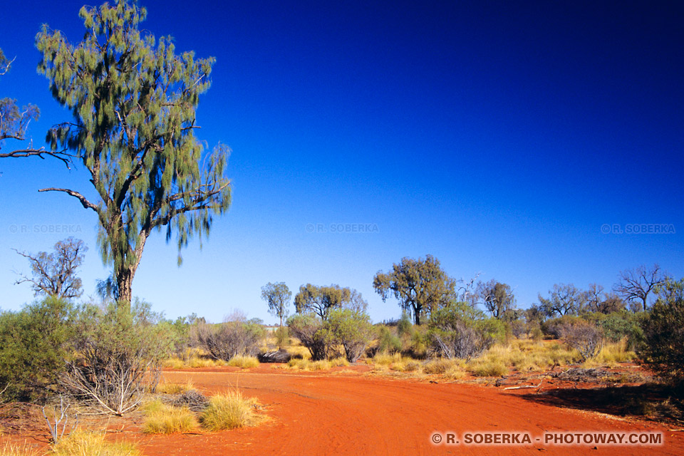 Photo du sol aride du désert Australien