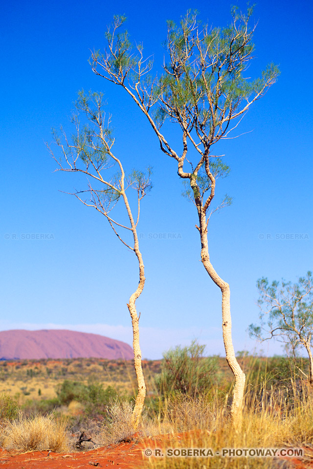 Infos sur le climat du désert en Australie