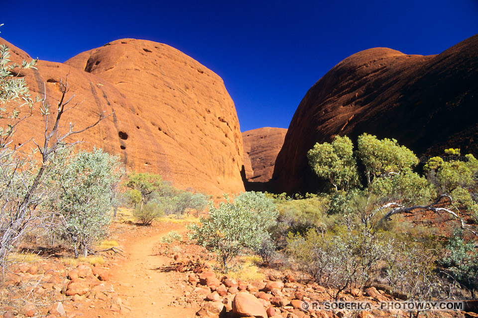 Photos de parois verticales des monts Olgas en Australie