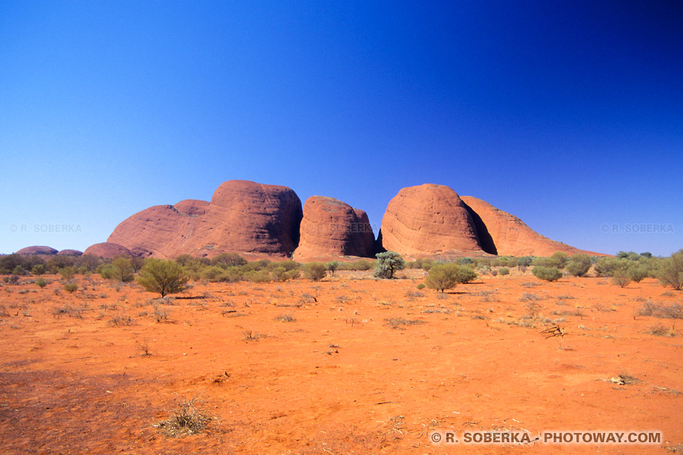 Carte postale du désert : les monts olgas en Australie