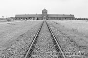 Camp de concentration d'Auschwitz