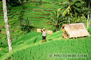 Bali, Indonésie